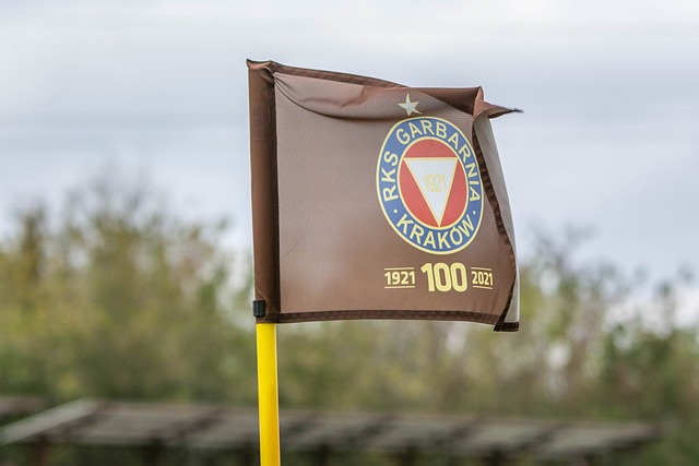 同而存在一 同而存在一