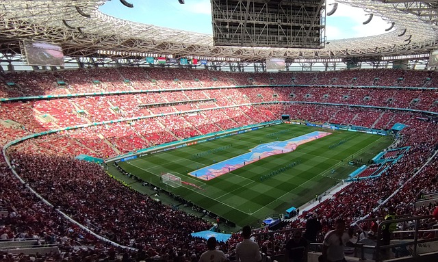 发言我们可 发言我们可