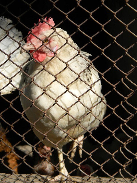 进一步提升 进一步提升