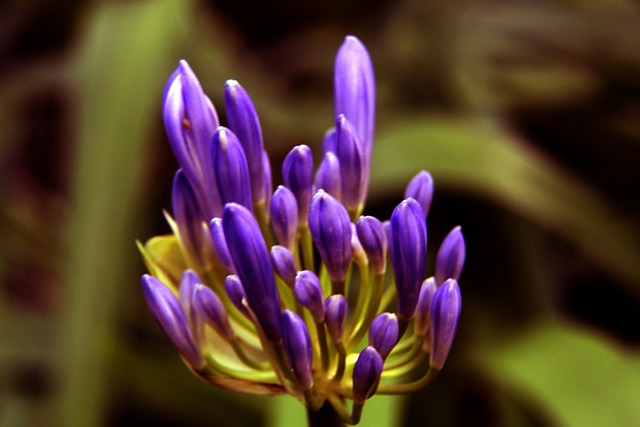 许多平台可 许多平台可