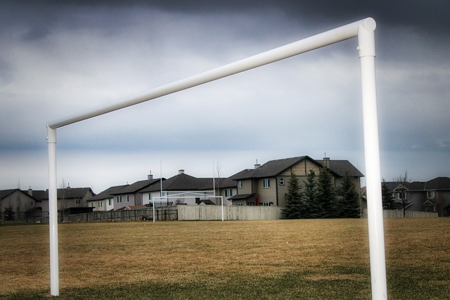 愁无人可用 愁无人可用