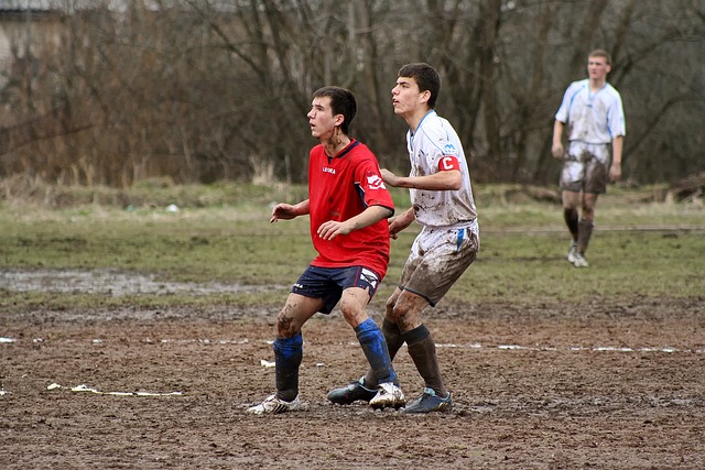 篮球迷们知 篮球迷们知