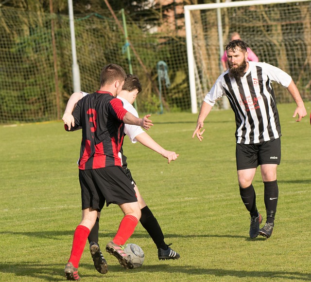 发展蓝图 发展蓝图